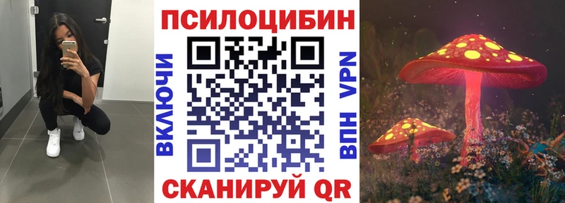 shop формула ОМГ ОМГ зеркало Городище Галлюциногенные грибы MAGIC MUSHROOMS